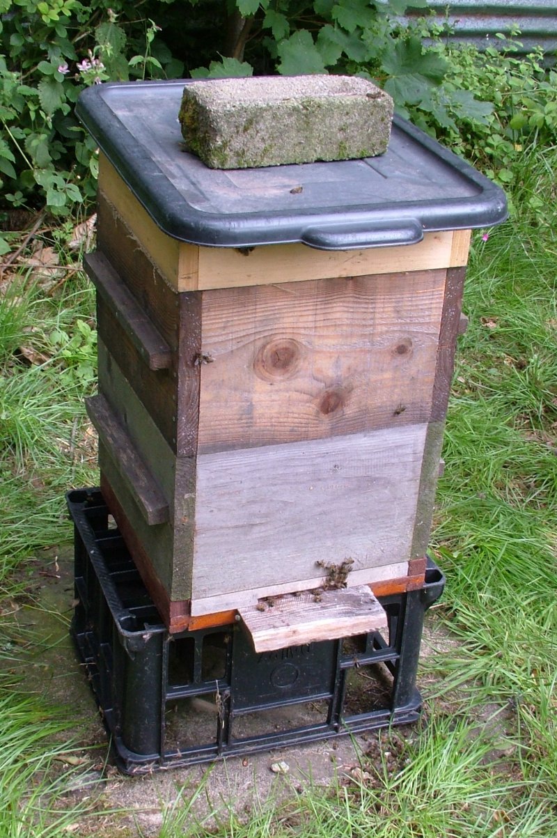 abersoch_hive_with_temp_roof_and_stand.jpg (275452 bytes)