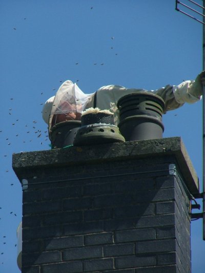 garreg_inspecting_flue_small.jpg (29485 bytes)