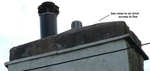 minfordd_chimney.jpg (27516 bytes)