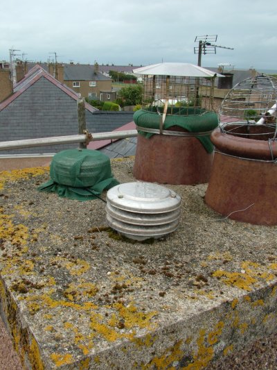 pwllheli_2011_bee_flue_capped.jpg (64660 bytes)