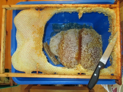 erb_extracting_honey.jpg (107987 bytes)