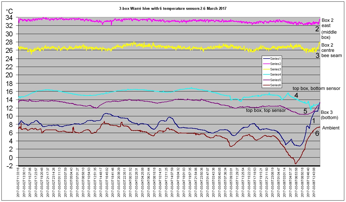 chart_2-60317.jpg (315731 bytes)