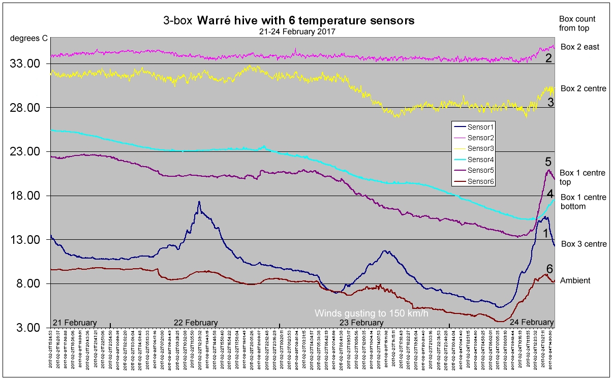 chart_21-230217.jpg (296108 bytes)