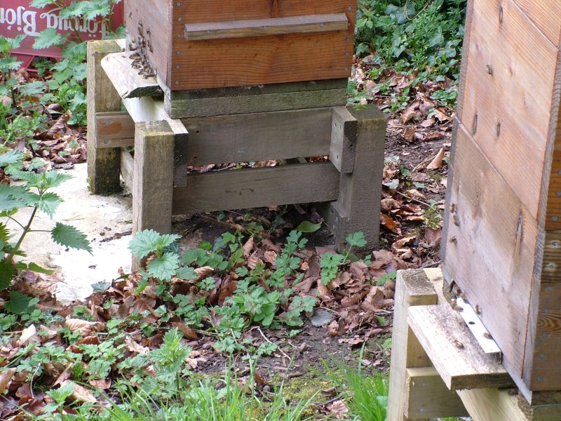 garden_apiary_170409_w4w6close.jpg (165013 bytes)