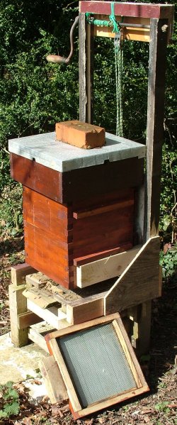 hive_lifted.jpg (59278 bytes)