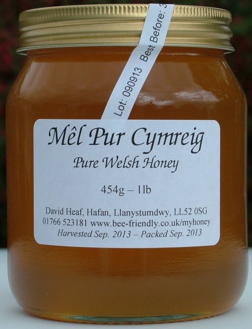 honey_pot.jpg (38187 bytes)